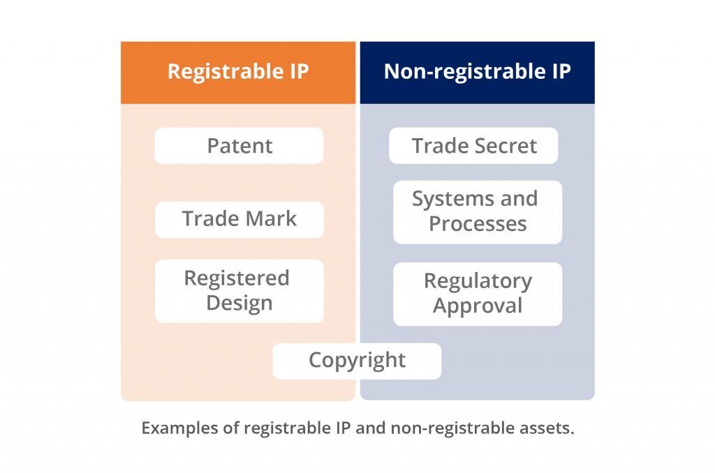 Registrable IP and Non-registrable Assets Examples