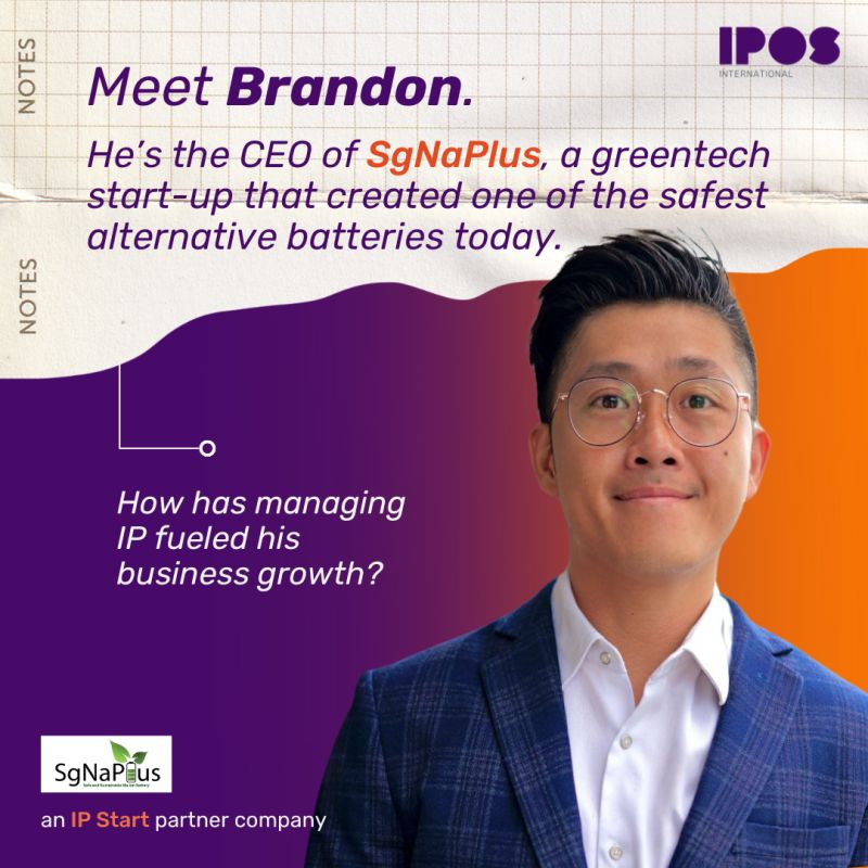 #IPStart Enterprise Features with SgNaPlus